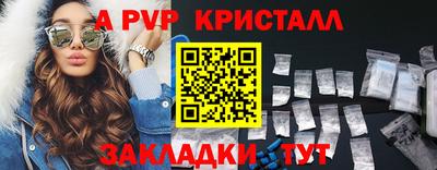 стаф Гай