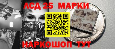 стаф Гай