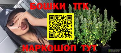 стаф Гай