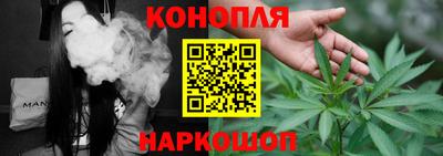 стаф Гай