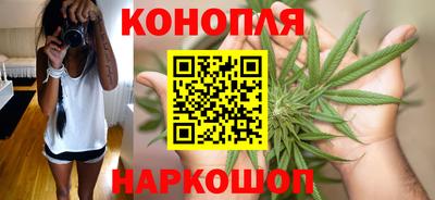прущие крисы Гагарин