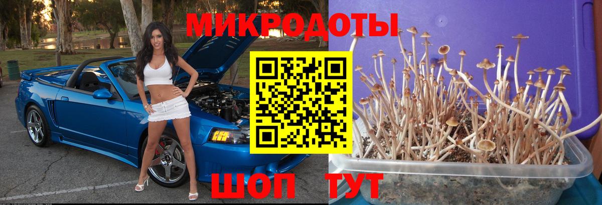 Псилоцибиновые грибы MAGIC MUSHROOMS  Вход с VPN  Галлюциногенные грибы Cubensis  Павлово 